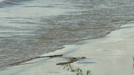 Астраханская область готовится к зимней межени