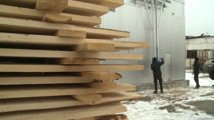 Астраханская колония запустила комплекс по сушке и переработке дерева