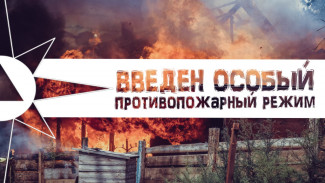 В Астрахани ввели особый противопожарный режим