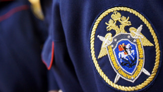 Расследование уголовного дела Султанова и Шведова завершено