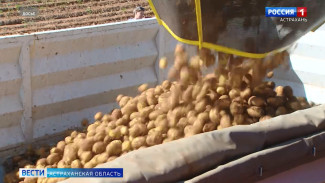 Астраханская область планирует увеличить до 98 тыс. гектаров сев сельхозкультур 