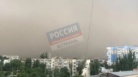 МЧС предупреждает астраханцев о появлении пыльной бури 19 июня