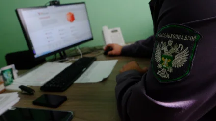 В Астраханской области «супермясо» преодолело около 80 км за 2 минуты