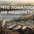 Астраханские журналисты сходили порыбачить. О том, как это было, в нашей рубрике "Что ловилось на неделе?"