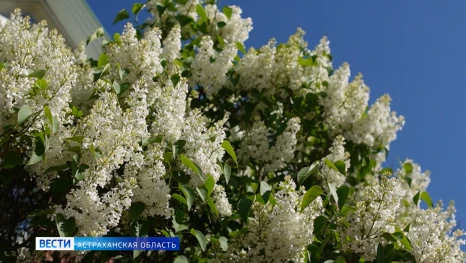 Погода на неделю