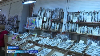 Продают ли запрещенную к вылову воблу на астраханских рынках