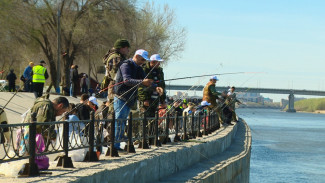 Организаторы фестиваля “Вобла” уделяют особое внимание экологии