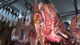 В Астраханской области нашли субпродукты из будущего 