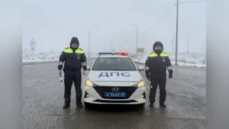 Астраханские госавтоинспекторы оперативно доставили в больницу девочку, нуждающуюся в экстренной медпомощи