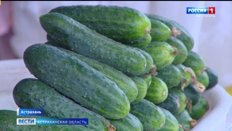 На сколько изменилась стоимость продуктовой корзины в Астраханской области