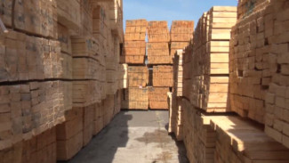 В Астраханской области выявили нарушения порядка ввоза подкарантинной продукции