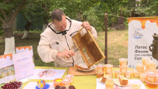 В Астрахани делают эксклюзивный мёд