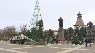 Главная городская ёлка будет украшать в этот Новый год площадь Ленина