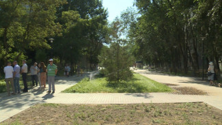 В Астрахани устранят недоработки по реконструкции аллеи воинов-интернационалистов