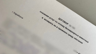 В Астраханской области завели дело о мошенничестве при отлове и содержанию собак