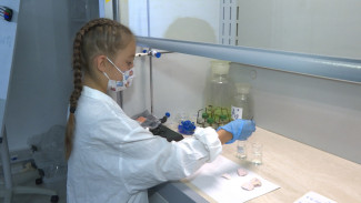 Астраханские школьники проверяют качество зубных паст