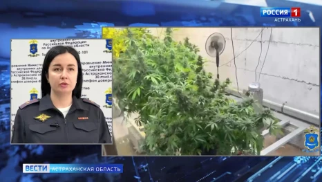 Астраханское УМВД представило оперативную сводку за прошедшие выходные