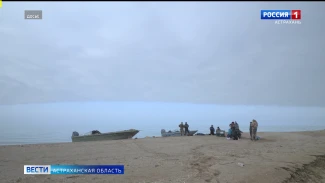 Остров в Северном Каспии передан под юрисдикцию Астраханского биосферного заповедника