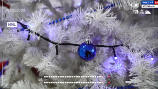 Новогодний выпуск ГТРК “Лотос” на телеканале “Россия 24”
