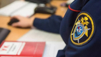 В Астрахани СК проводит проверку по факту нападения собак на девочку