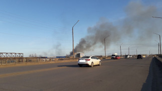 Под Астраханью горит камыш на площади 500 квадратных метров