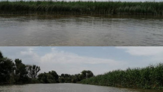 В Астрахани расчищают водоёмы для свободного прохода рыбы