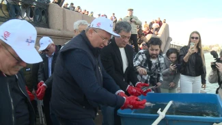В Астрахани завершился фестиваль "Вобла"