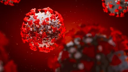 В Астрахани коэффициент распространения коронавируса повысился до 1,25