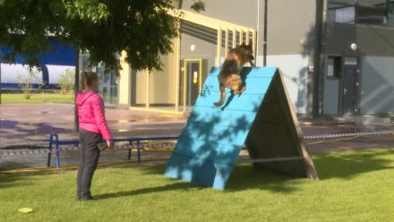 В Астрахани прошёл всероссийский турнир по собаководству