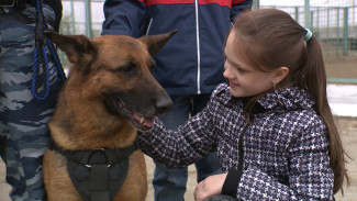 В Астраханском кинологическом центре прошёл День открытых дверей