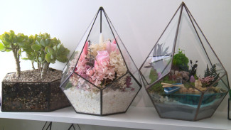 Астраханка создаёт необычные композиции из растений 