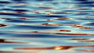 Четверо юных астраханцев сплавлялись по Волге, обвязав себя бутылками