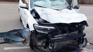 В столкновении машины и лошади под Астраханью пострадали 3 человека