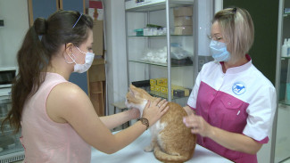 В Астрахани открылся новый ветеринарный центр на базе АГУ