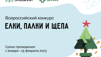 Экоактивисты запустили акцию «Ёлку в переработку» в Астраханской области