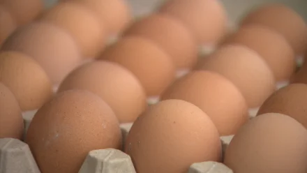 С чем связано повышение цен на продукты в Астрахани