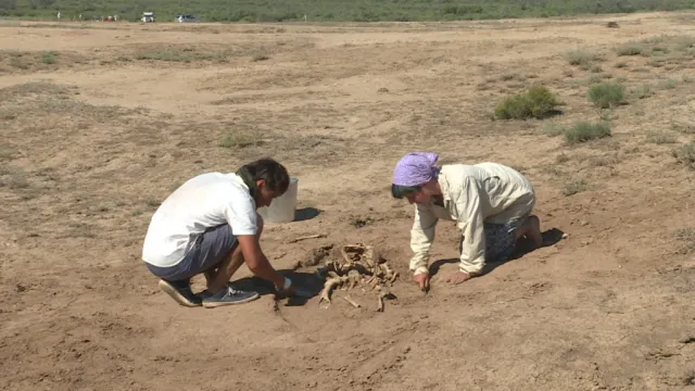 Под Астраханью обнаружили остатки древнего поселения