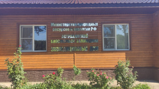 Астраханский заповедник выиграл грант Всемирного фонда дикой природы