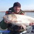 Астраханцы активно продолжают делиться фотографиями своего улова
