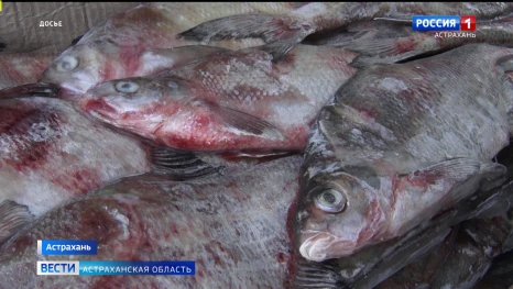 В Астраханской области специалисты обнаружили превышение микробиологических показателей в рыбной продукции