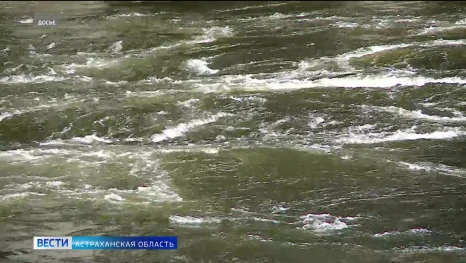 Актуальная информация по паводку в Астраханской области