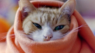 В Астраханской области ожидается резкое похолодание