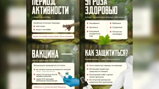 Меры предосторожности в сезон повышенной клещевой активности