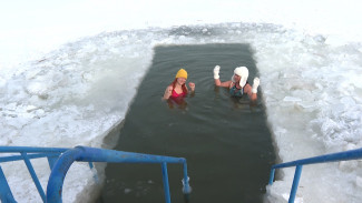 Астраханские моржи рассказали, какая погода идеальна для погружения