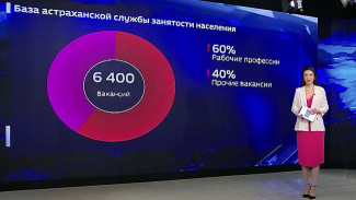 Астраханцам представили актуальный обзор рынка вакансий