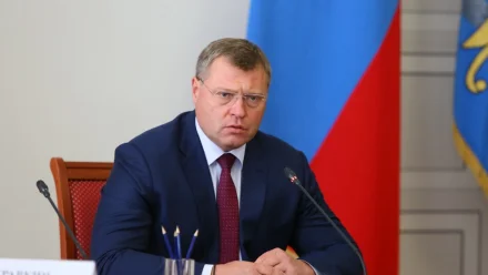 Губернатор Бабушкин предлагает системно решать проблему бродячих собак, с которой столкнулись регионы