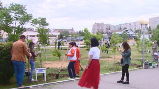 В парке «Аркадия» в Астрахани появится аллея предпринимателей