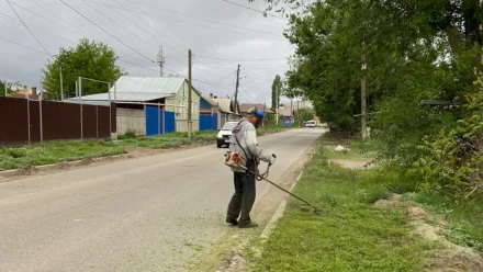 В Астрахани косят сорняки и камыши