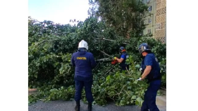 Астраханские коммунальные службы устраняют последствия сильного ветра