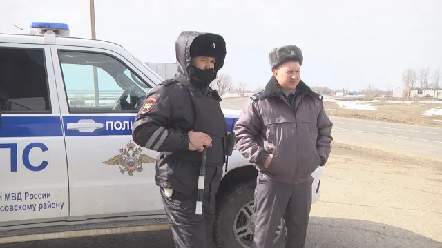 В Астраханской области пресечена незаконная перевозка почти 700 домашних животных